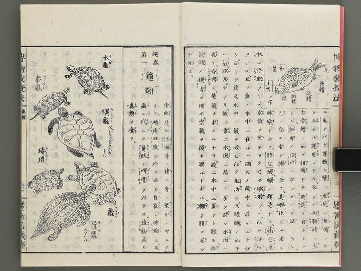 Hakubutsu kyojyuho Volume 3 / BJ341-586