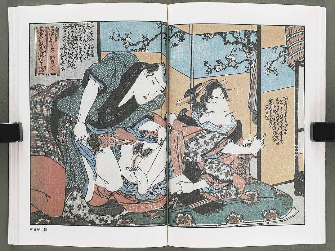 Konotegashiwa Volume 5 by Keisai Eisen / BJ346-493
