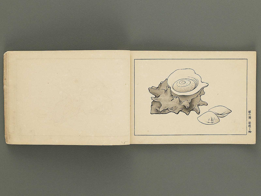 Koto shogaku mohitsuga tehon (Dai 3 gakyunen joseiyo) / BJ355-397