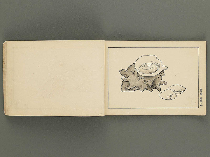 Koto shogaku mohitsuga tehon (Dai 3 gakyunen joseiyo) / BJ355-397