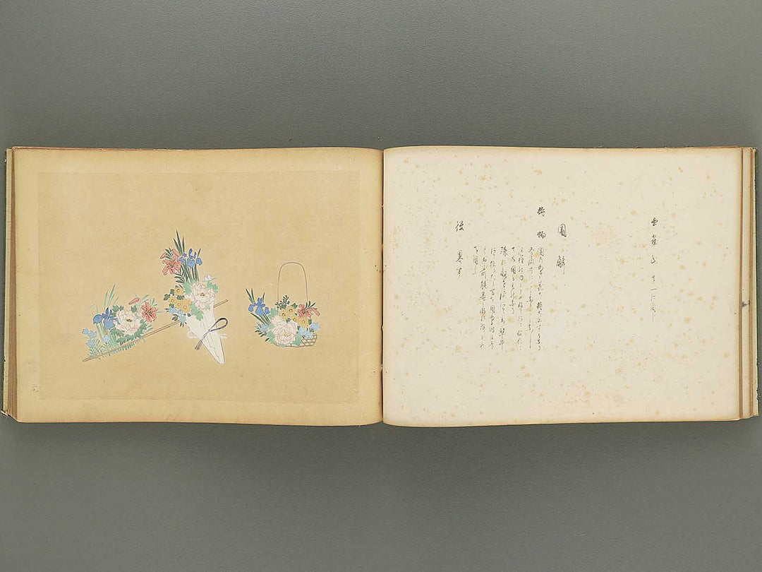 Nogu taikan Volume 2 by Yamaguchi Ryoshu / BJ348-376