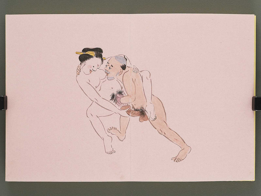 Shunga / BJ350-525
