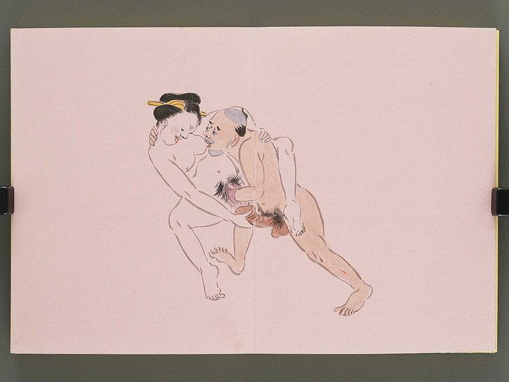 Shunga / BJ350-525