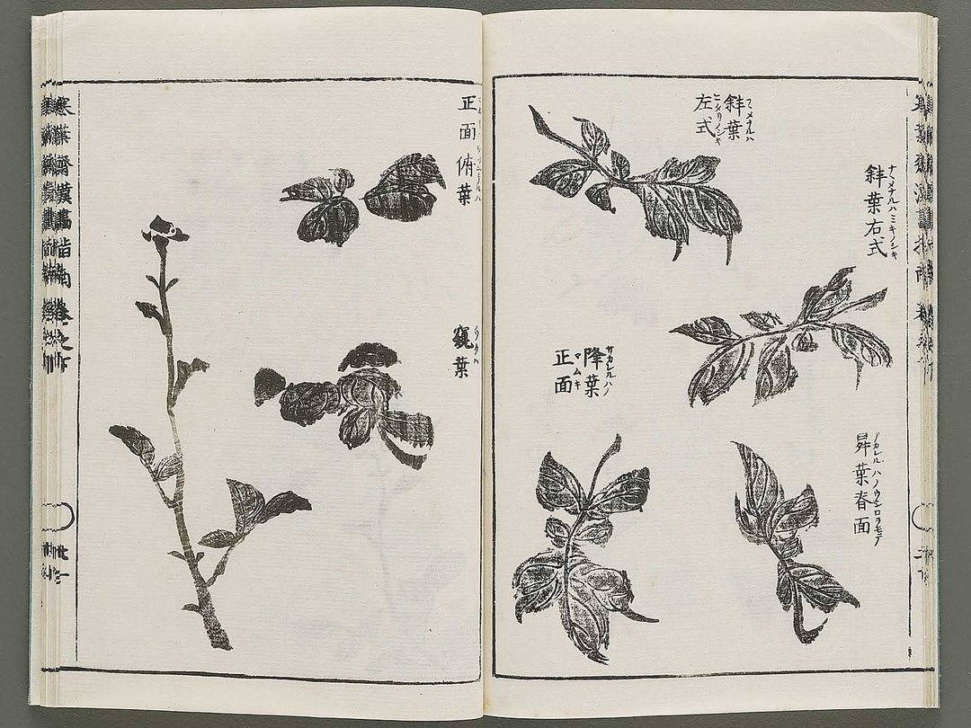 Kanga shinan Kon (Part 2 of 2) by Takebe Ayatari / BJ335-846