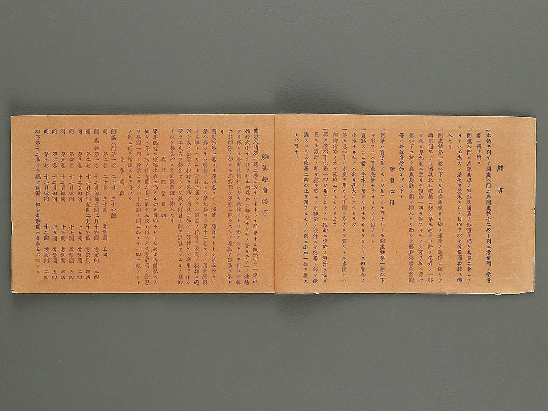 Shogaku mohitsu zugacho Volume 4 / BJ324-541