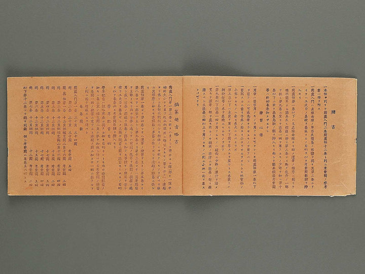 Shogaku mohitsu zugacho Volume 4 / BJ324-541