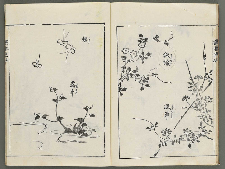 Korin michishirube by Nonomura Chubee / BJ351-134