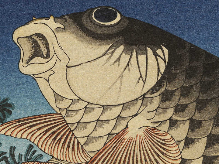 Koi by Katsushika Hokusai, (Large print size) / BJ337-603