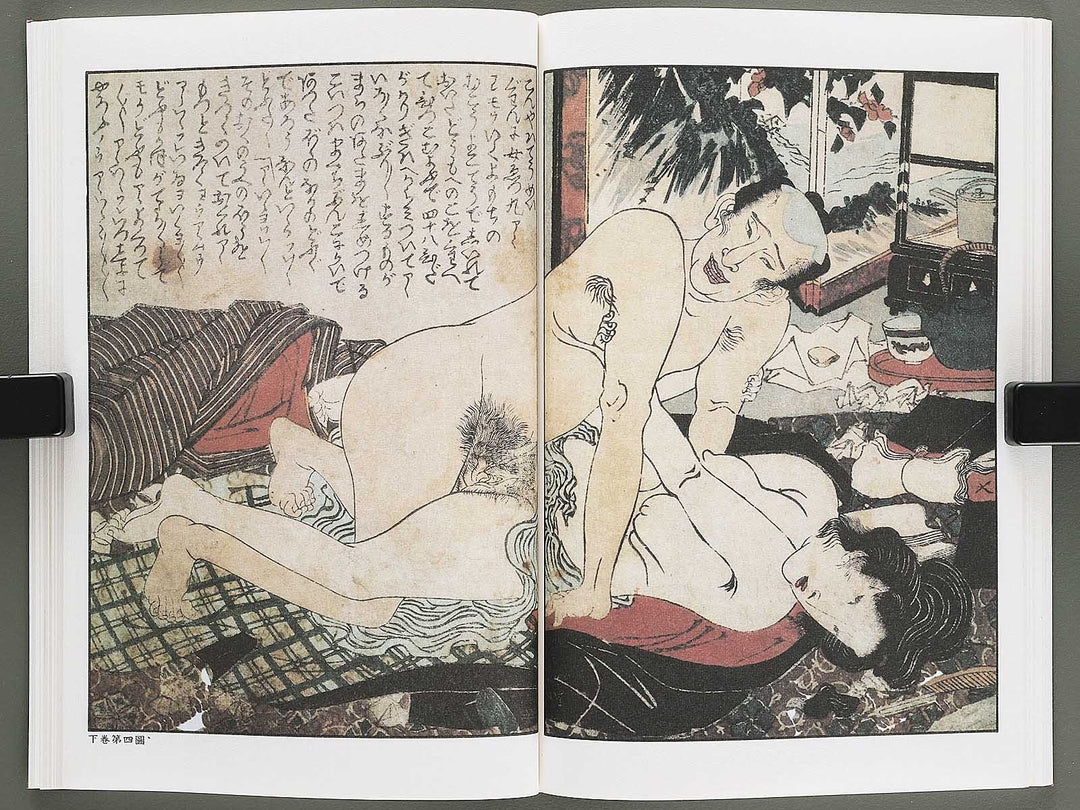 Ezoshi Fuji no yuki Volume 10 by Keisai Eisen / BJ346-472