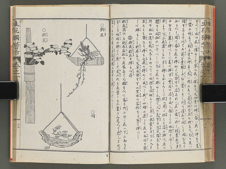 Shoryu hiden ikebana hitorigeiko Volume 1 / BJ347-928