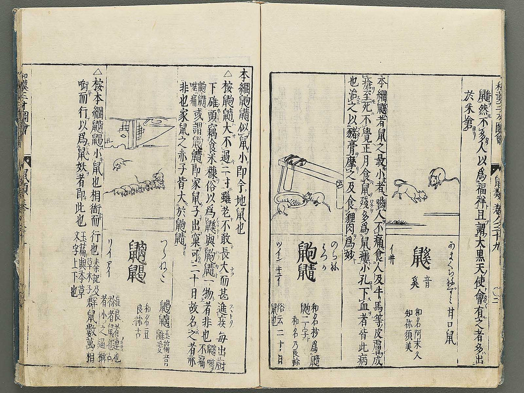 Wakan sansai zue Part 39, Book 40 / BJ349-223
