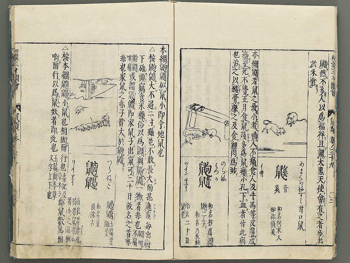 Wakan sansai zue Part 39, Book 40 / BJ349-223