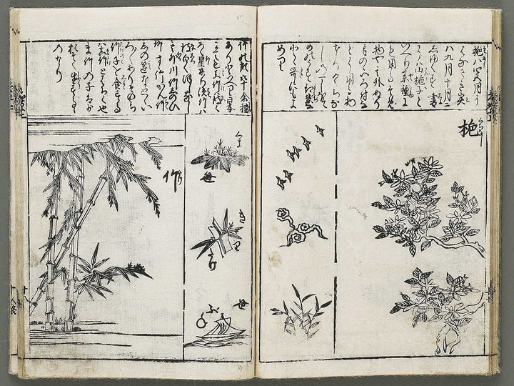 Edo shokubutsu zukan / BJ318-899