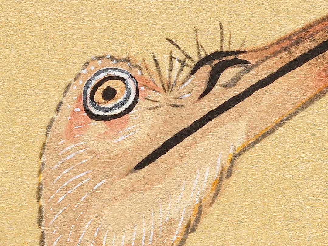 Konotori by Katsushika Hokusai, (Medium print size) / BJ319-634