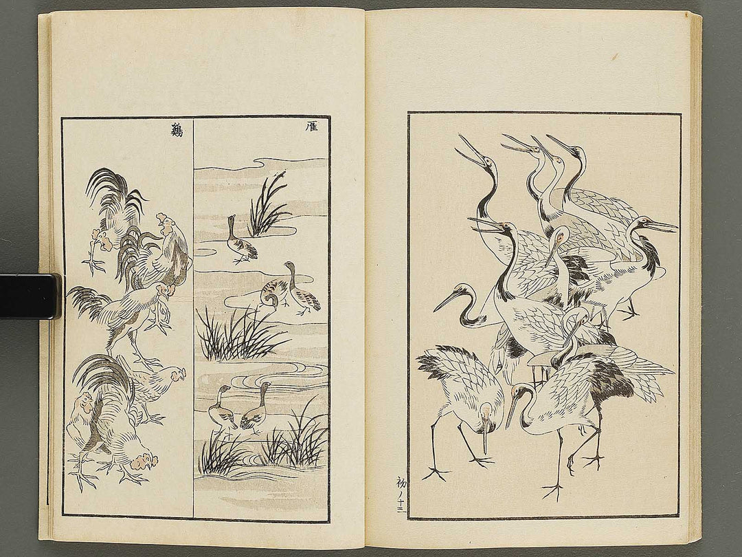 Chiyomikusa Volume 1 by Takeuchi Shigeyo / BJ324-079