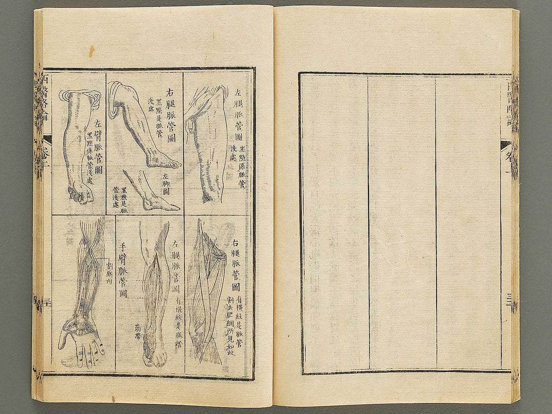 Seii ryakuron (Jo) / BJ326-312