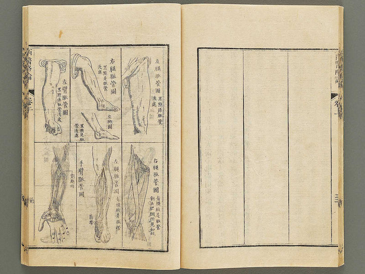 Seii ryakuron (Jo) / BJ326-312