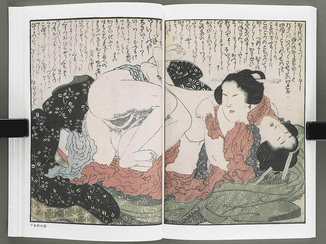 Ezoshi Konoe no komatsu Volume 3 by Katsushika Hokusai / BJ346-437