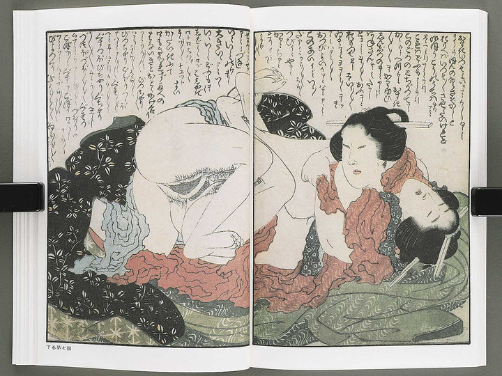 Ezoshi Konoe no komatsu Volume 3 by Katsushika Hokusai / BJ346-437