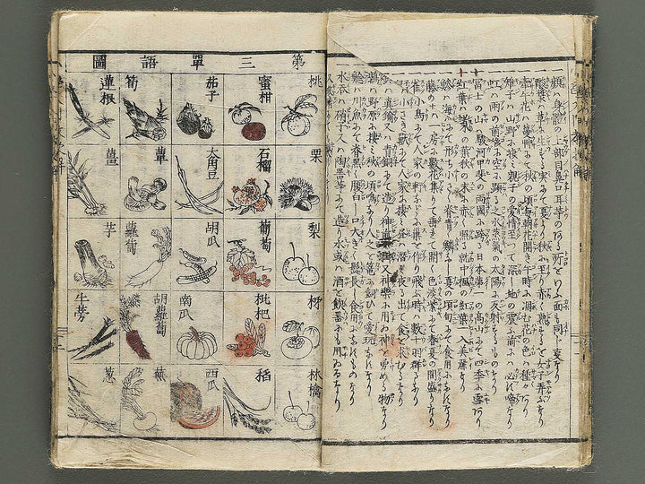 Syogaku nyumon kyoju kai by Matsukawa Hanzan / BJ344-743