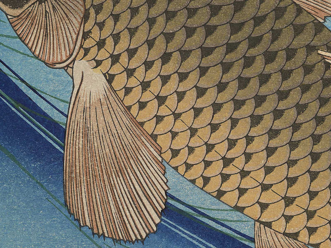 Japanese Carp from the series the series fish by Utagawa Hiroshige, (Large print size) / BJ350-224