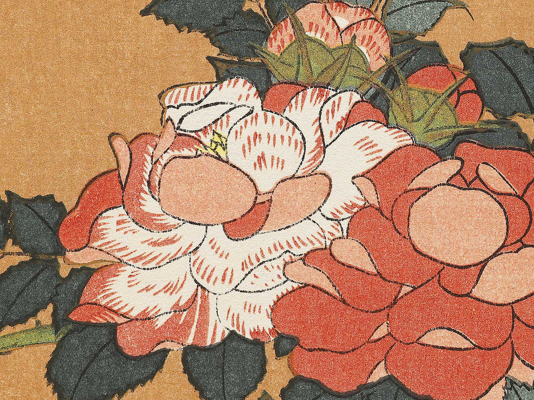 Kocho bara by Katsushika Hokusai, (Large print size) / BJ331-660