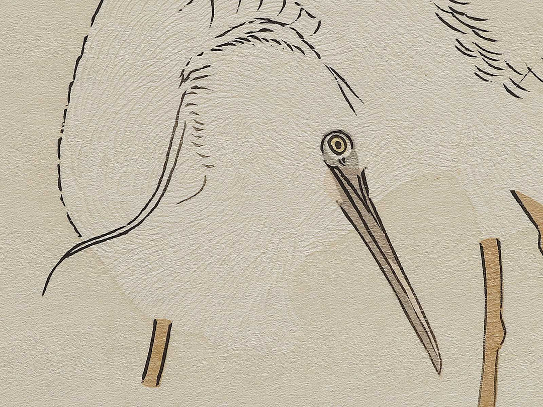 Cormorant and Heron from the series Momochidori kyoka awase by Kitagawa Utamaro, (Large print size) / BJ328-041