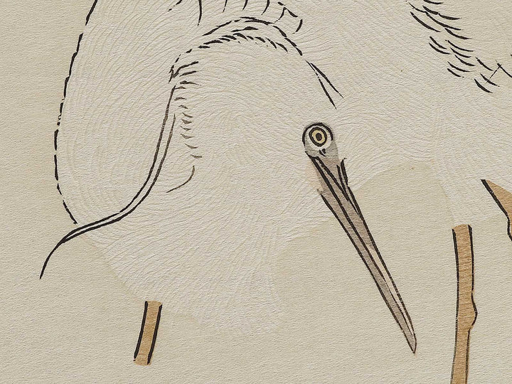 Cormorant and Heron from the series Momochidori kyoka awase by Kitagawa Utamaro, (Large print size) / BJ328-041