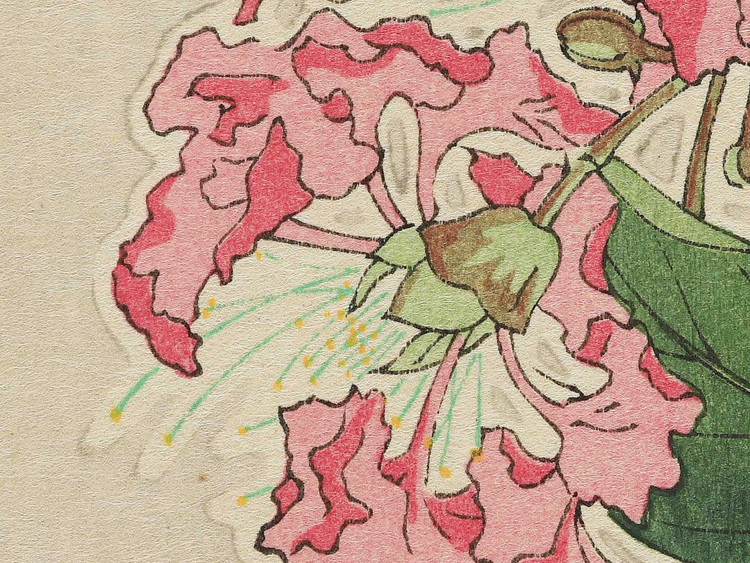 Sarusuberi by Kawarazaki Shodo, (Large print size) / BJ348-005