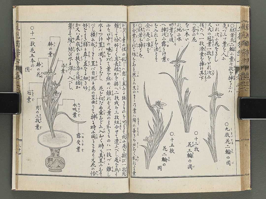 Shoryu hiden ikebana hitorigeiko Volume 2 / BJ347-935