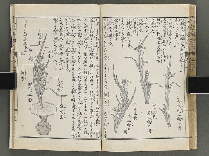 Shoryu hiden ikebana hitorigeiko Volume 2 / BJ347-935