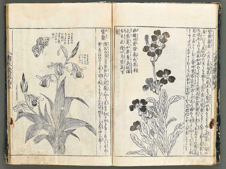 Ehon oushukubai Volume 5 by Tachibana Morikuni / BJ327-691