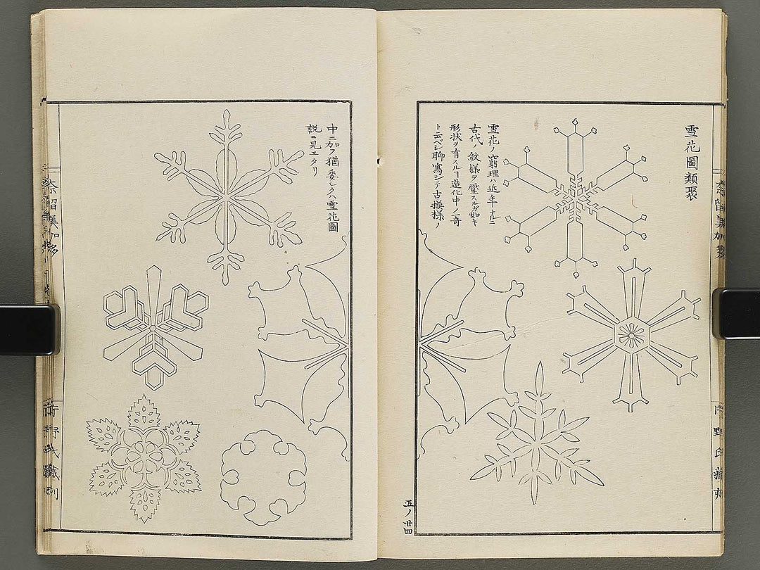 Narumikata Volume 5 by Odagiri Shunko / BJ322-546