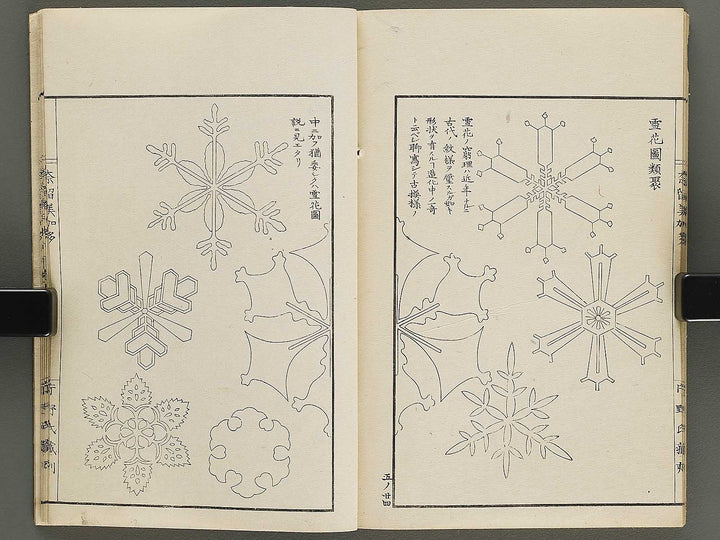 Narumikata Volume 5 by Odagiri Shunko / BJ322-546