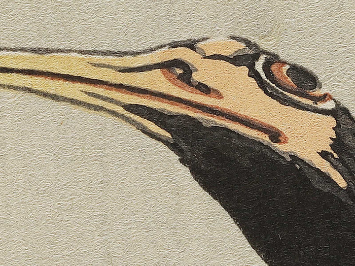 A cormorant stands resolute at the head of a rock by the sea by Katsushika Hokusai, (Medium print size) / BJ321-818