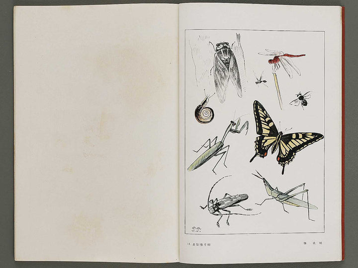 Joshi jitsuyo zuga Volume 3 / BJ326-823