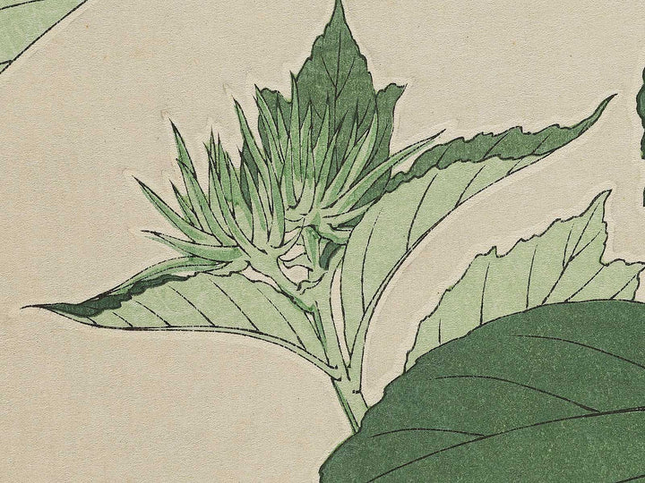 Himawari by Kawarazaki Shodo, (Large print size) / BJ346-276