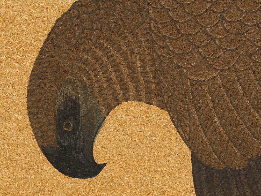 Hawk and Shrike from the series Momotidori kyoka awase by Kitagawa Utamaro, (Large print size) / BJ328-293