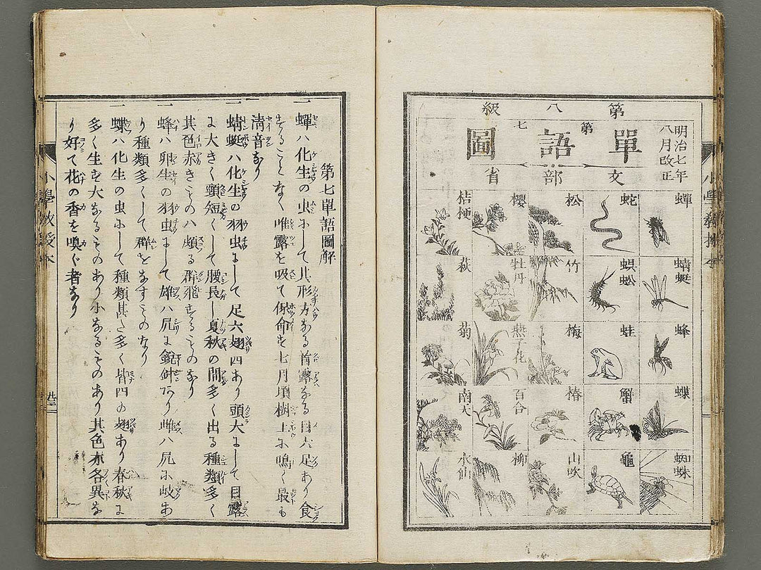 Shogaku kyojubon / BJ335-951