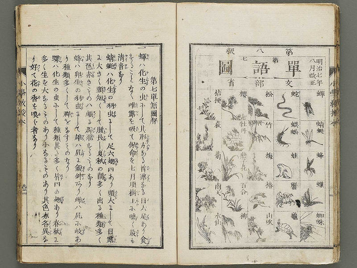 Shogaku kyojubon / BJ335-951