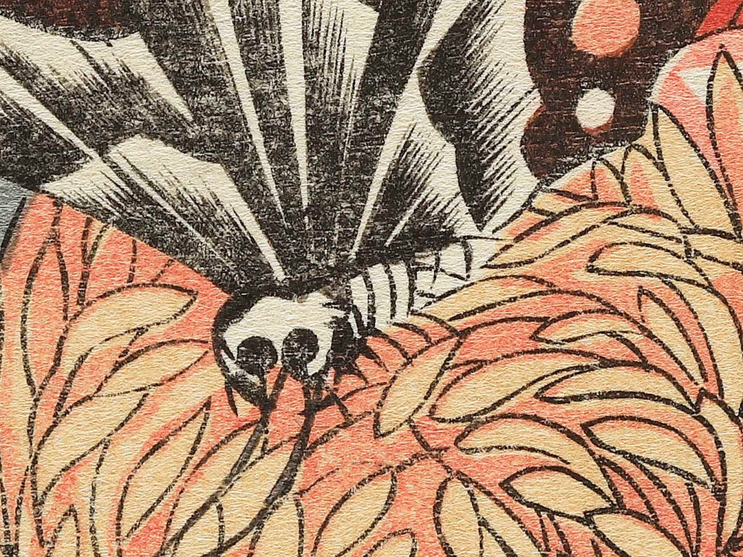 Kiku ni cho by Utagawa Hiroshige, (Large print size) / BJ339-248