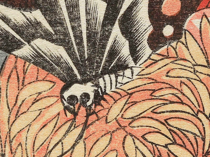Kiku ni cho by Utagawa Hiroshige, (Large print size) / BJ339-248