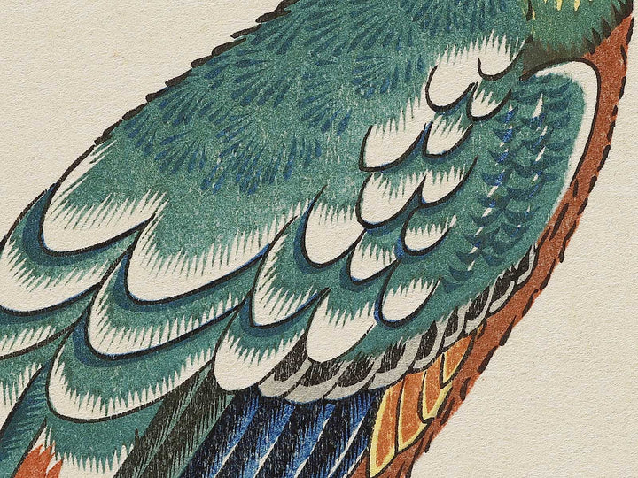 Kaido ni omu from the series Kacho dai tanzakusen by Utagawa Hiroshige, (Medium print size) / BJ328-174
