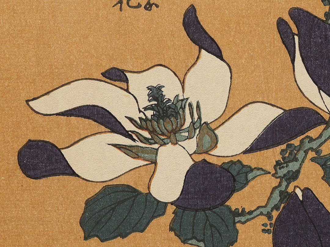 Buncho kobushi no hana by Katsushika Hokusai, (Large print size) / BJ336-119