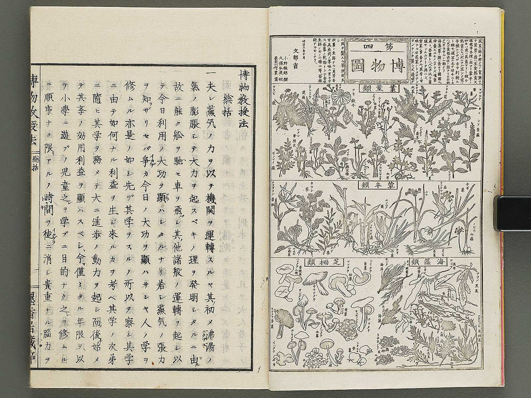 Hakubutsu kyojyuho Volume 1 / BJ341-572