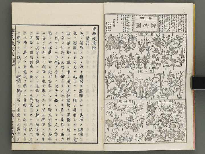 Hakubutsu kyojyuho Volume 1 / BJ341-572