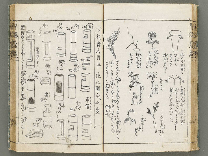 Ikebana hayamanabi / BJ331-275
