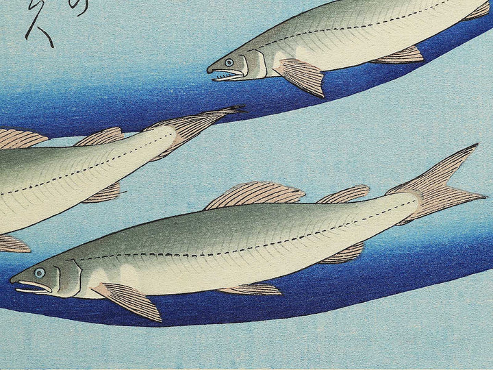 Ayu from the series the series FISH by Utagawa Hiroshige, (Medium print size) / BJ330-554