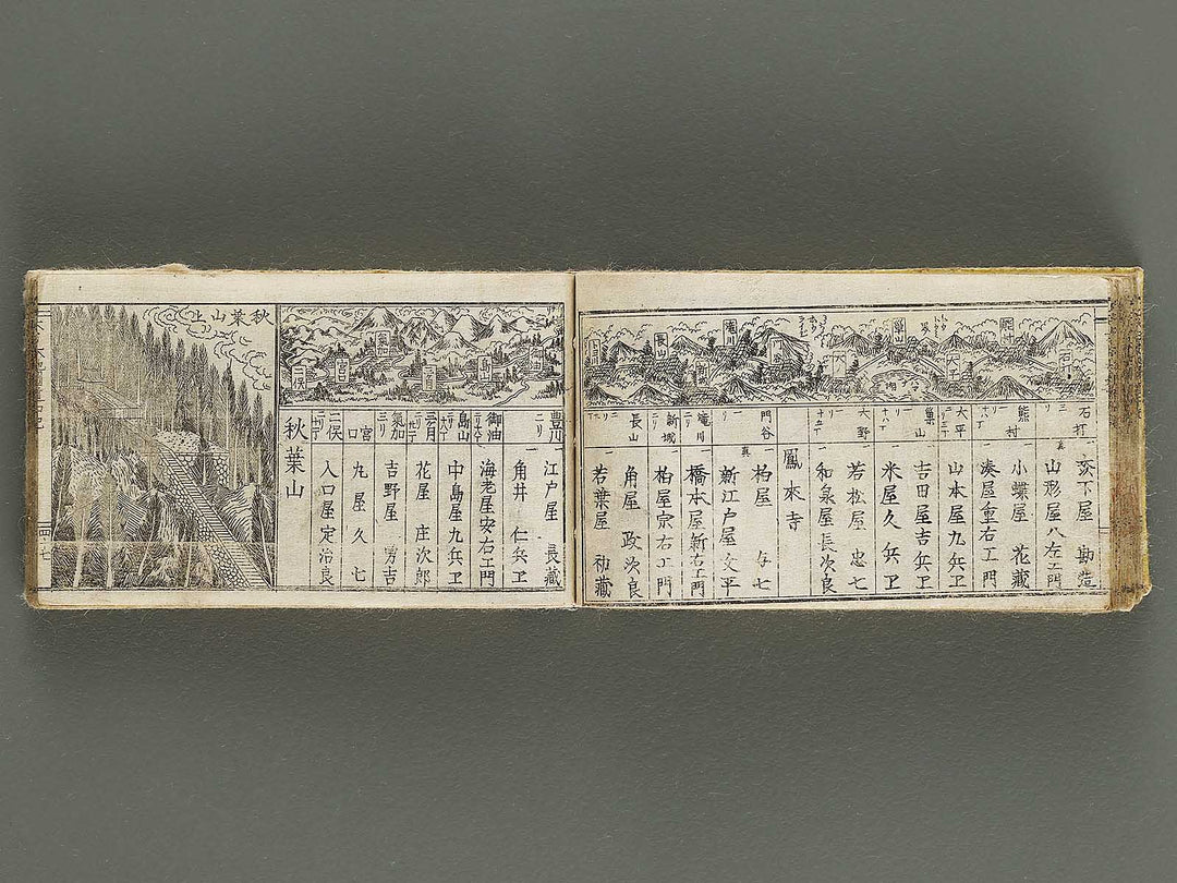 Dainihon chizu dochuki / BJ321-580