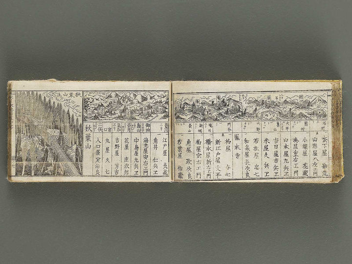 Dainihon chizu dochuki / BJ321-580